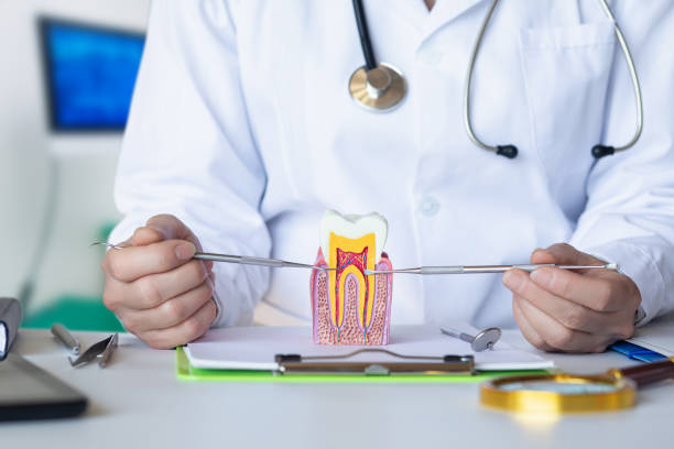 Best Emergency Dental Filling Replacement  in Olean, NY
